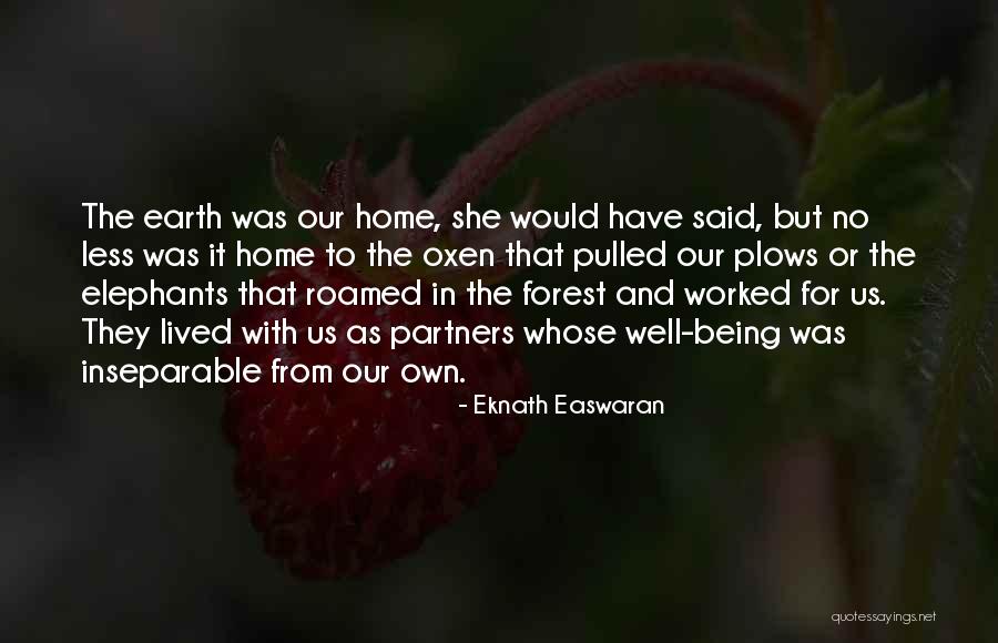 Mainatand Quotes By Eknath Easwaran Mainatand Quotes By Eknath Easwaran
