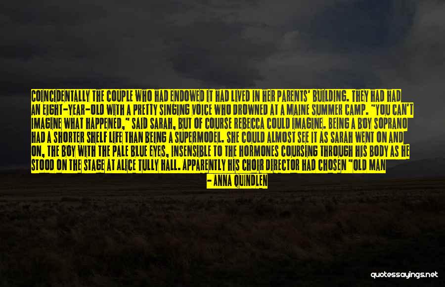 Maine Summer Quotes By Anna Quindlen Maine Summer Quotes By Anna Quindlen