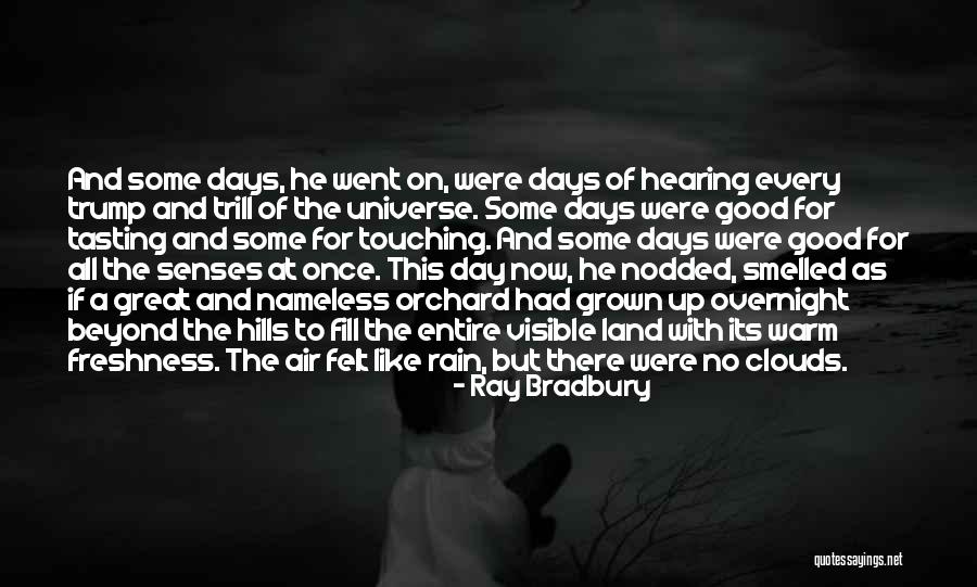 Mainetti Vietnam Quotes By Ray Bradbury Mainetti Vietnam Quotes By Ray Bradbury
