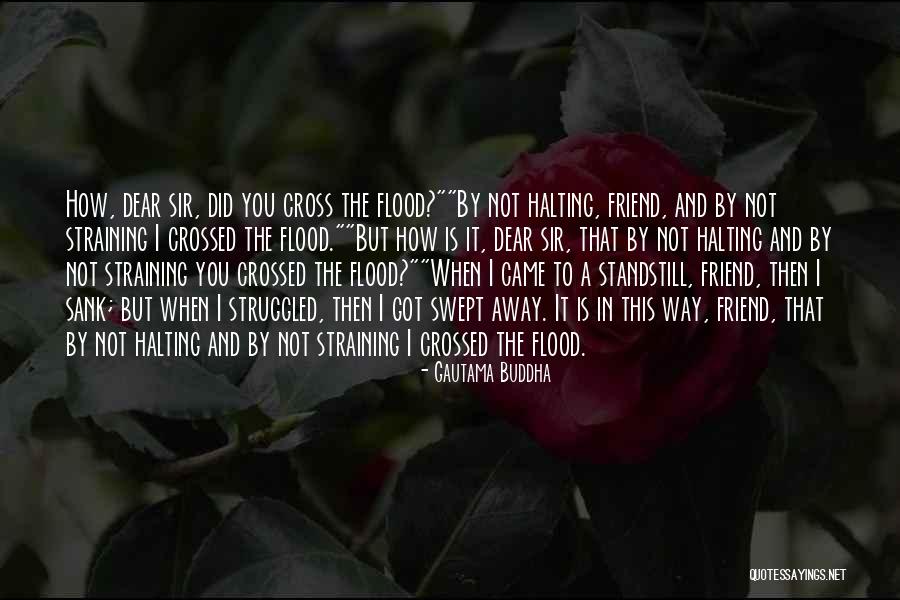 Mainstage For Windows Quotes By Gautama Buddha Mainstage For Windows Quotes By Gautama Buddha