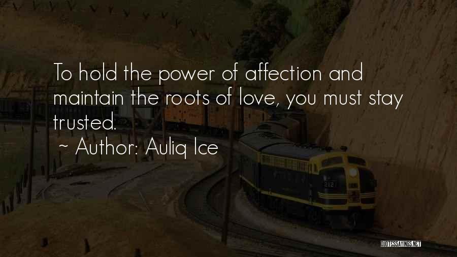 Maintain Love Quotes By Auliq Ice