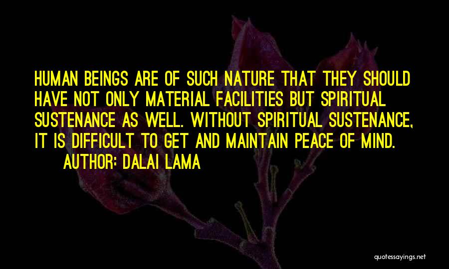 Maintain Peace Quotes By Dalai Lama