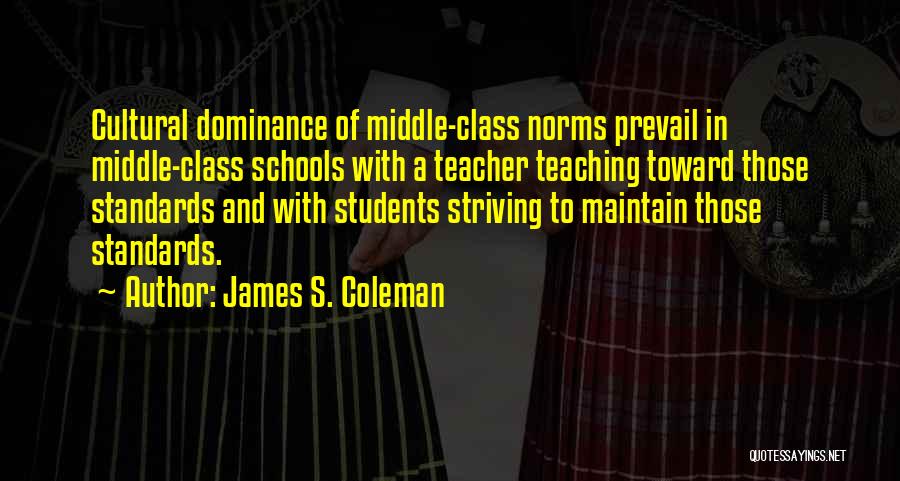 Maintain Standards Quotes By James S. Coleman