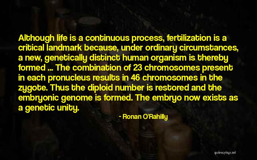 Maintainer Humor Quotes By Ronan O'Rahilly Maintainer Humor Quotes By Ronan O'Rahilly