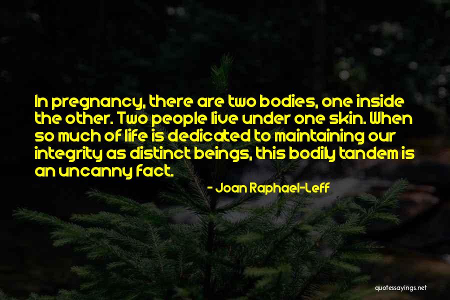 Maintaining Your Integrity Quotes By Joan Raphael-Leff Maintaining Your Integrity Quotes By Joan Raphael-Leff