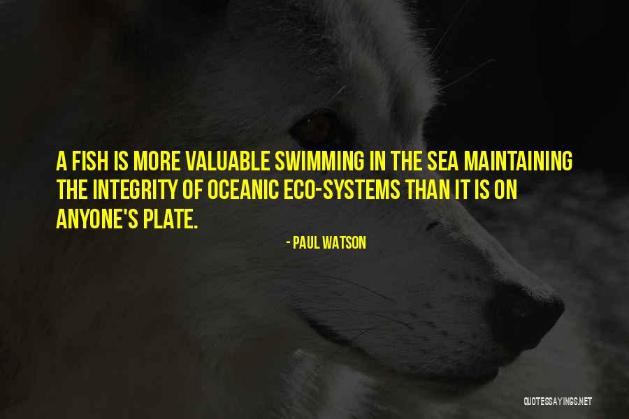 Maintaining Your Integrity Quotes By Paul Watson Maintaining Your Integrity Quotes By Paul Watson