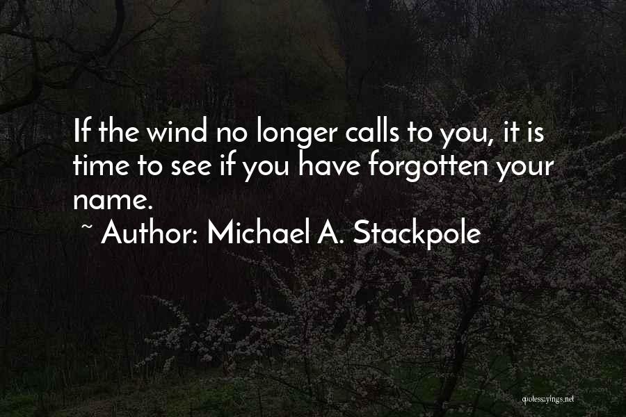 Maintop Tutorial Quotes By Michael A. Stackpole