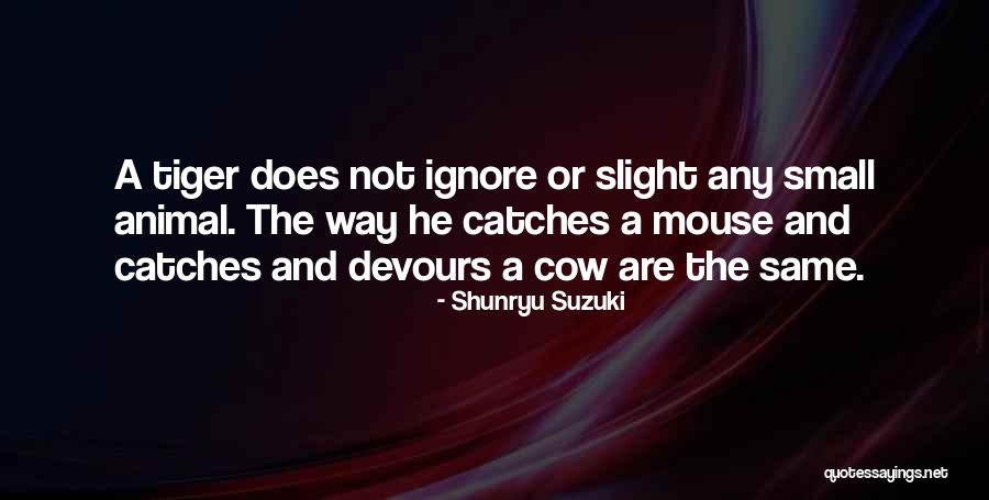 Maiocco John Quotes By Shunryu Suzuki Maiocco John Quotes By Shunryu Suzuki