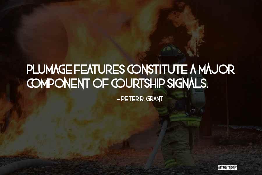 Maiolo Investigations Quotes By Peter R. Grant Maiolo Investigations Quotes By Peter R. Grant