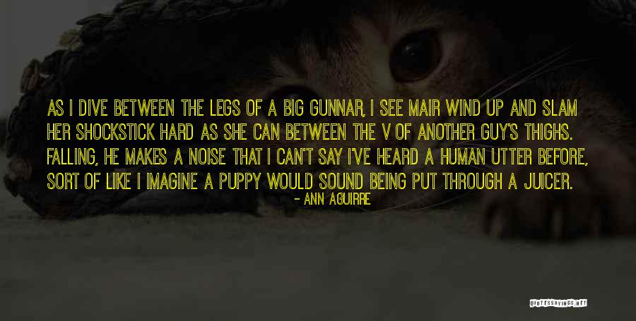 Mair Quotes By Ann Aguirre