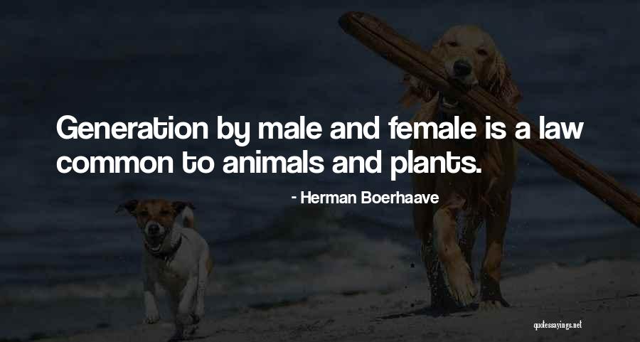 Mair Quotes By Herman Boerhaave
