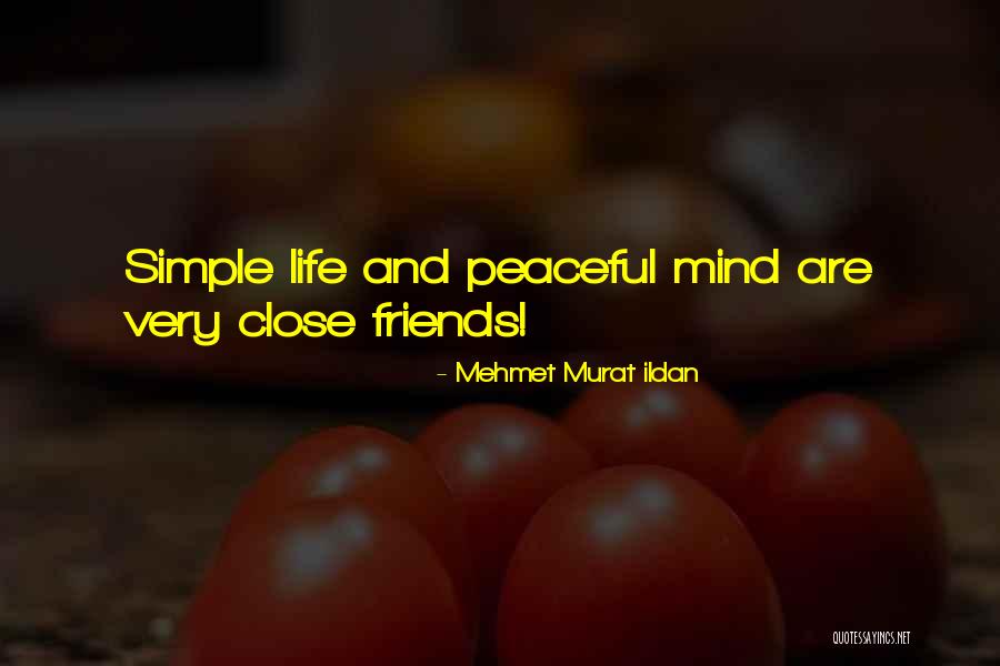 Mairi Quotes By Mehmet Murat Ildan Mairi Quotes By Mehmet Murat Ildan