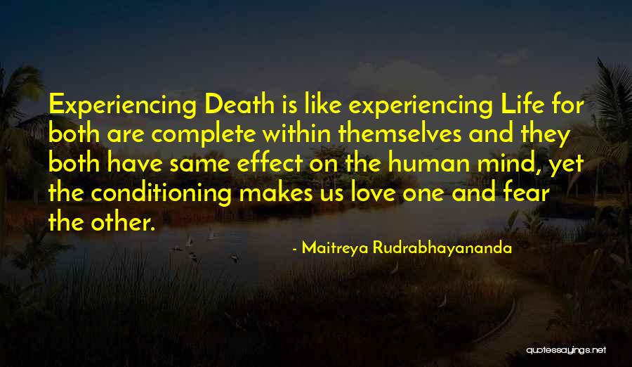 Maitreya Rudrabhayananda Quotes 1098148