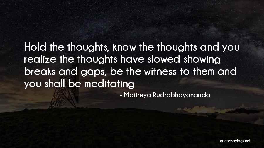 Maitreya Rudrabhayananda Quotes 1252909