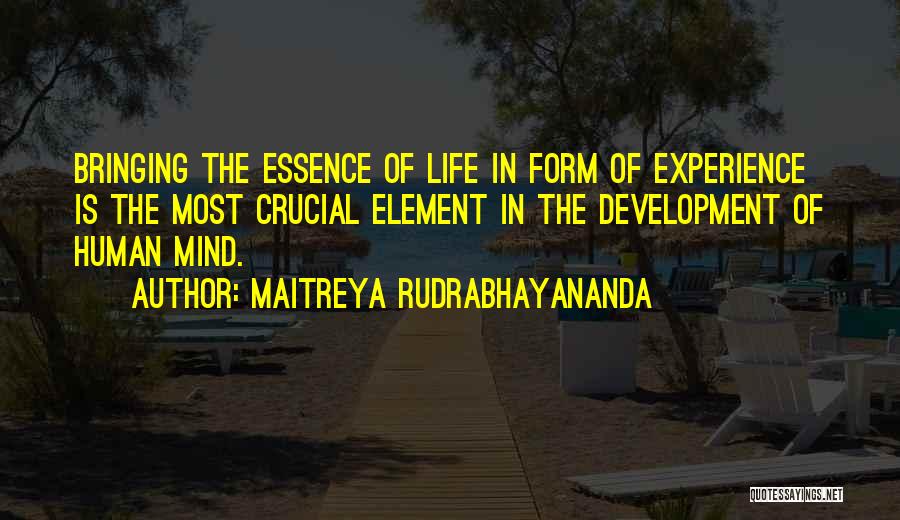 Maitreya Rudrabhayananda Quotes 1274752