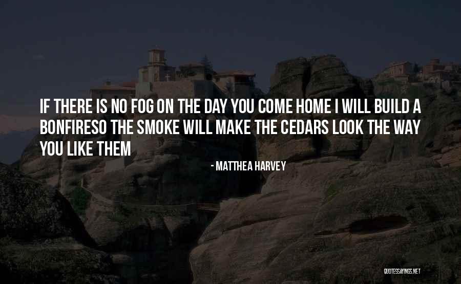 Maius Gmbh Quotes By Matthea Harvey Maius Gmbh Quotes By Matthea Harvey