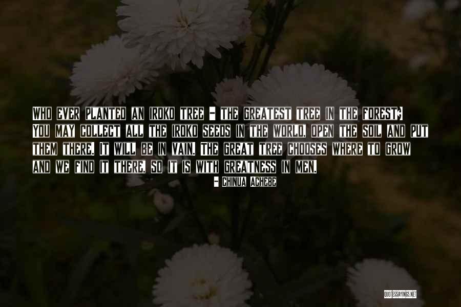 Maja Blanca Quotes By Chinua Achebe Maja Blanca Quotes By Chinua Achebe