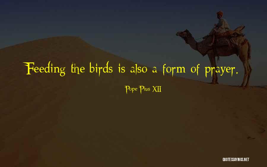 Maja Nilsson Lindel F Quotes By Pope Pius XII Maja Nilsson Lindel F Quotes By Pope Pius XII
