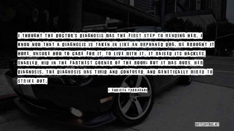 Majella Murphy Quotes By Christa Parravani Majella Murphy Quotes By Christa Parravani