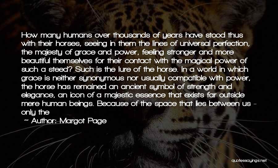 Majestic Horses Quotes By Margot Page