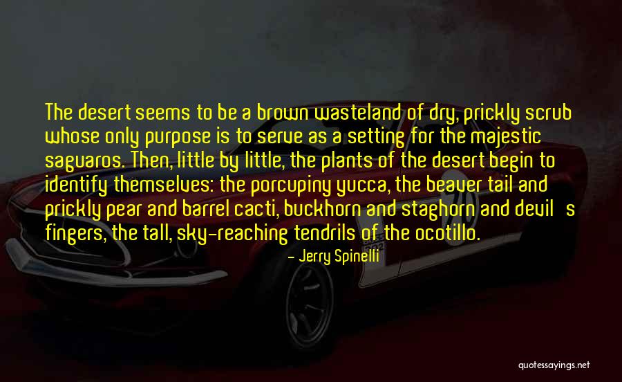 Majestic Sky Quotes By Jerry Spinelli Majestic Sky Quotes By Jerry Spinelli