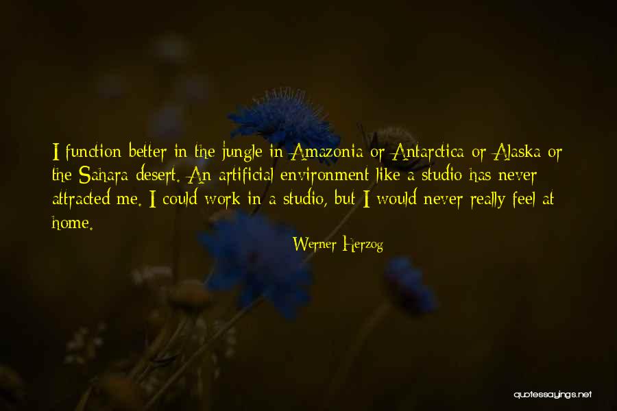 Majeure Depressie Quotes By Werner Herzog Majeure Depressie Quotes By Werner Herzog