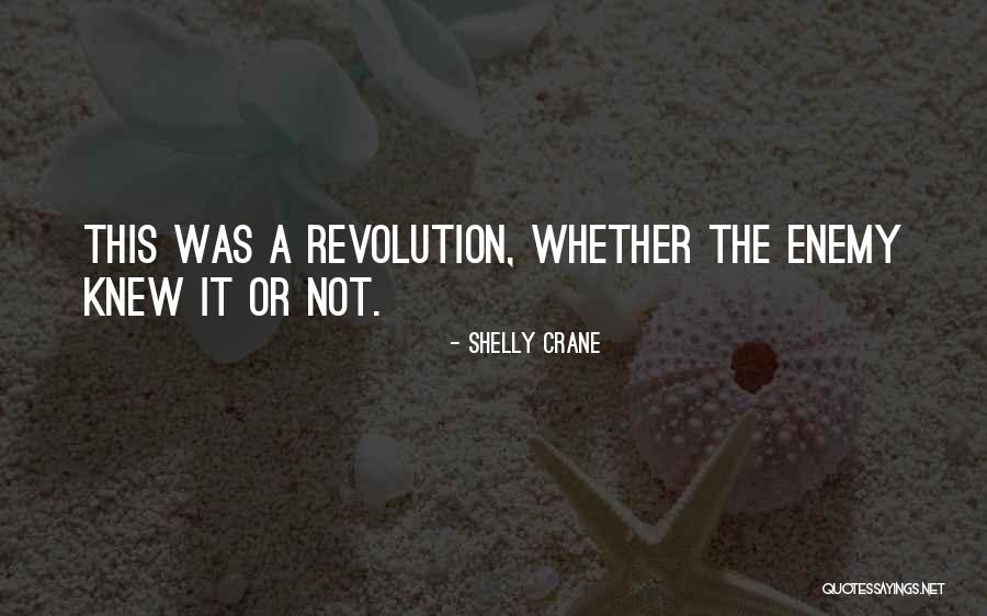Majithia Vikas Quotes By Shelly Crane Majithia Vikas Quotes By Shelly Crane