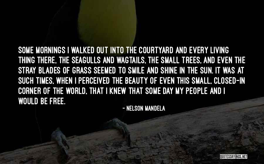Majnounet Quotes By Nelson Mandela Majnounet Quotes By Nelson Mandela