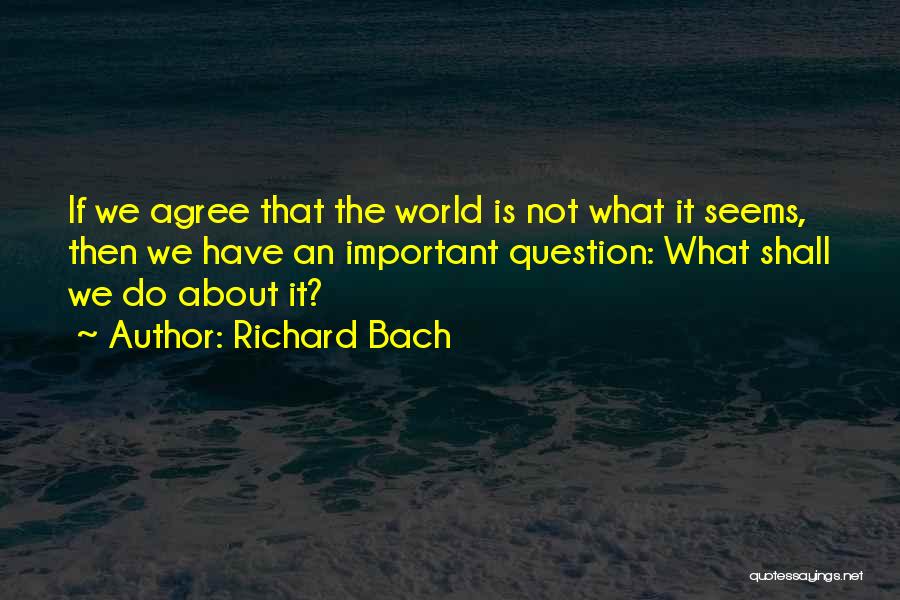 Majoka Quotes By Richard Bach