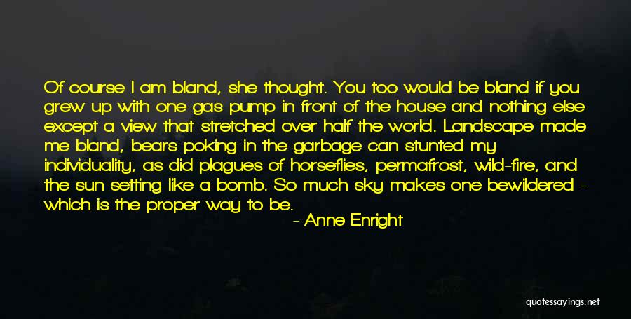 Majolica Quotes By Anne Enright Majolica Quotes By Anne Enright