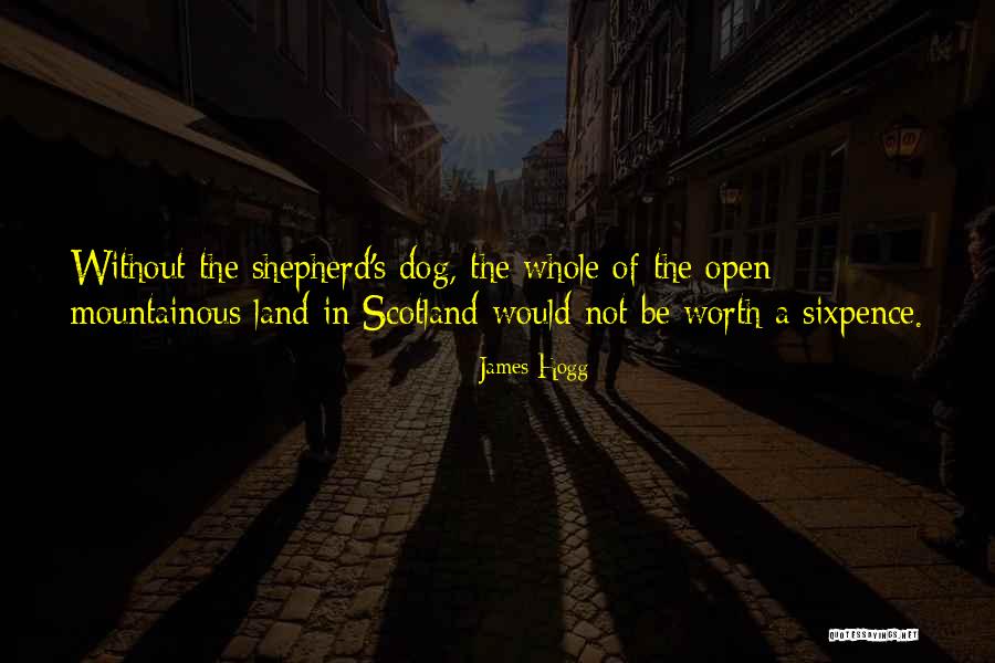 Majolie Quotes By James Hogg Majolie Quotes By James Hogg
