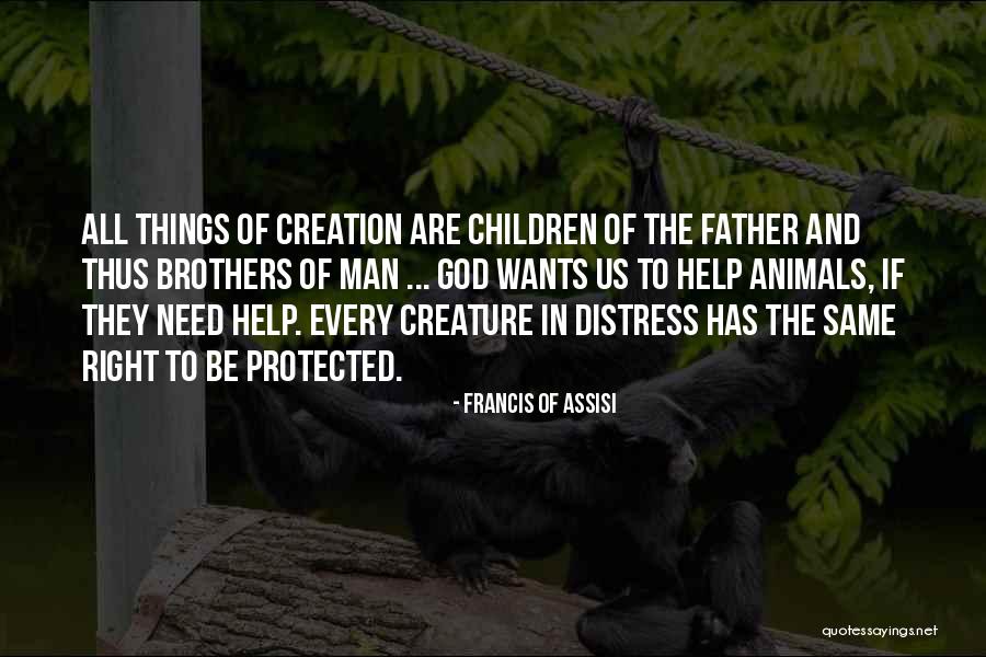Makaela Hassenauer Quotes By Francis Of Assisi Makaela Hassenauer Quotes By Francis Of Assisi