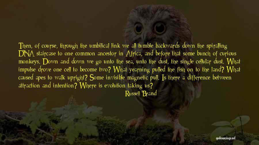Makalani Oceanview Quotes By Russell Brand Makalani Oceanview Quotes By Russell Brand