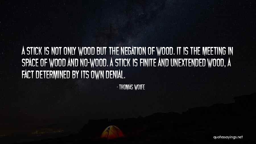 Makarpura Palace Quotes By Thomas Wolfe Makarpura Palace Quotes By Thomas Wolfe