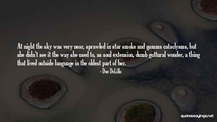 Make Funny Programming Quotes By Don DeLillo Make Funny Programming Quotes By Don DeLillo