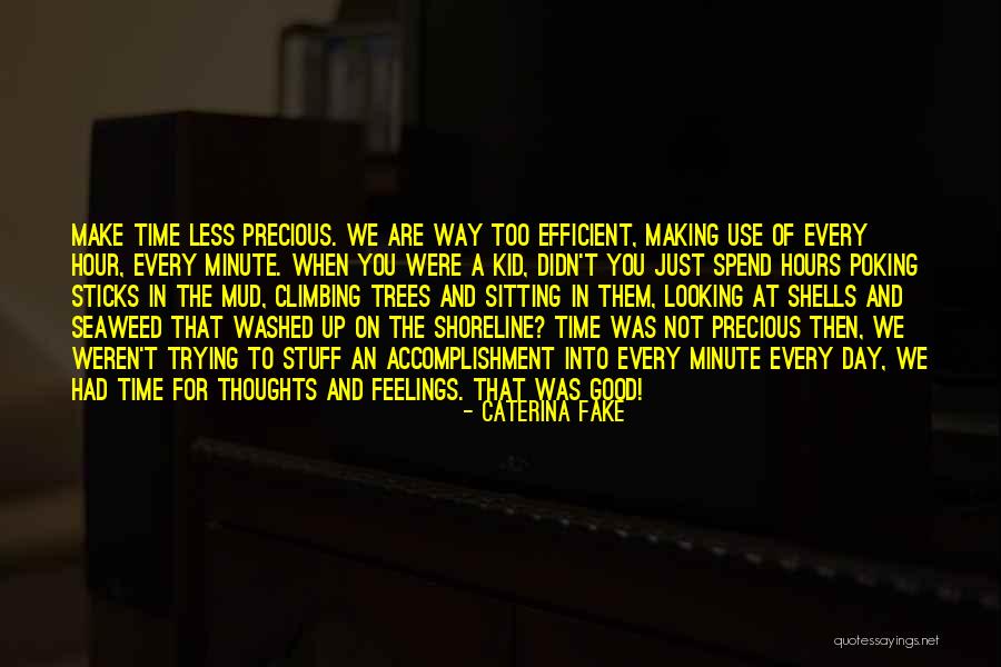 Make Good Use Of The Day Quotes By Caterina Fake Make Good Use Of The Day Quotes By Caterina Fake