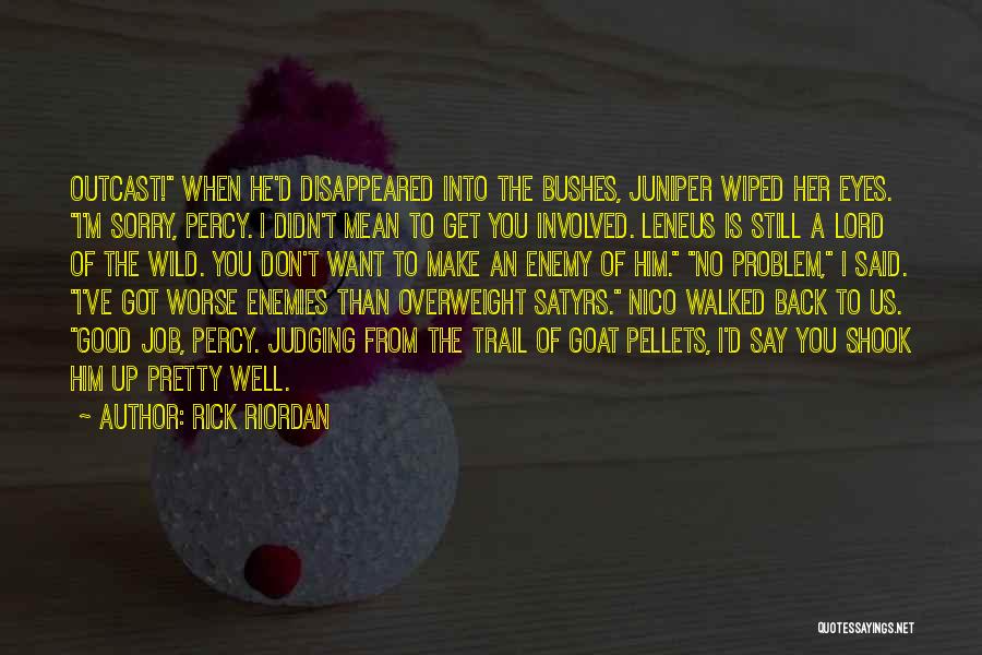 Make Him Want You Quotes By Rick Riordan