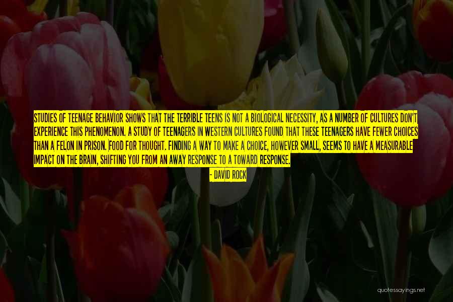 Make Impact Quotes By David Rock Make Impact Quotes By David Rock