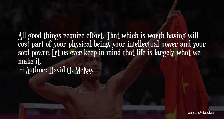 Make Life Worth It Quotes By David O. McKay