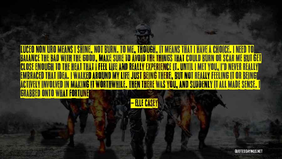 Make Me Burn Quotes By Elle Casey Make Me Burn Quotes By Elle Casey