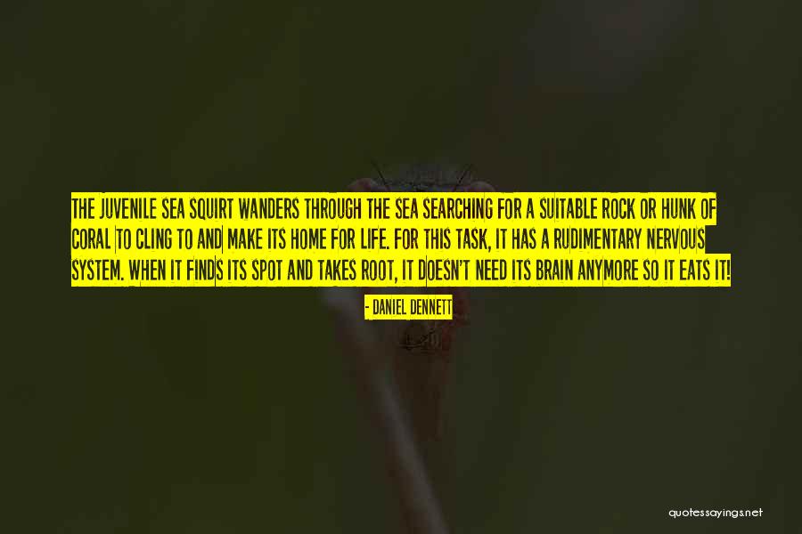 Make Me Squirt Quotes By Daniel Dennett Make Me Squirt Quotes By Daniel Dennett