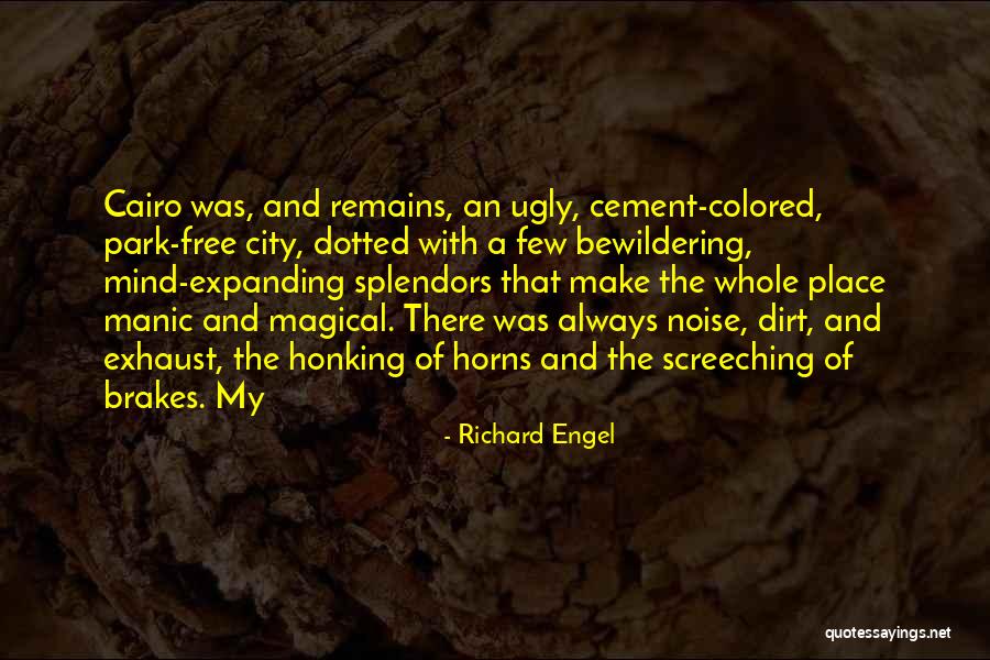 Make Noise Quotes By Richard Engel