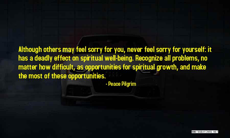 Make Peace Yourself Quotes By Peace Pilgrim Make Peace Yourself Quotes By Peace Pilgrim
