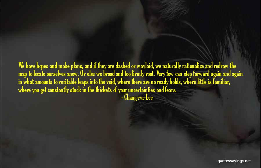 Make Plans Quotes By Chang-rae Lee Make Plans Quotes By Chang-rae Lee