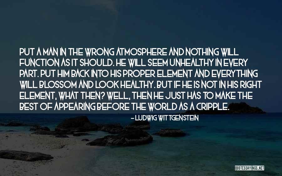 Make The Best Of Everything Quotes By Ludwig Wittgenstein Make The Best Of Everything Quotes By Ludwig Wittgenstein