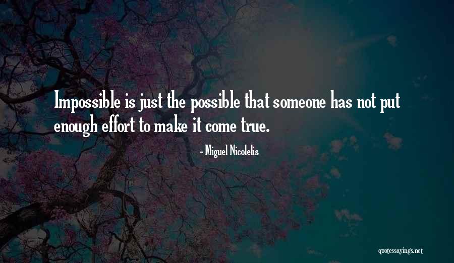 Make The Impossible Possible Quotes By Miguel Nicolelis