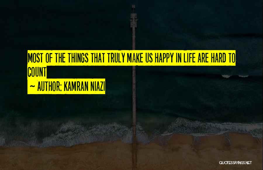 Make The Most Of Things Quotes By Kamran Niazi