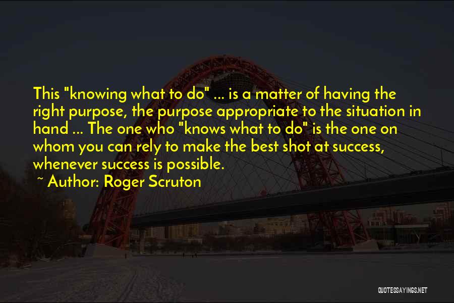 Make The Most Of Your Situation Quotes By Roger Scruton