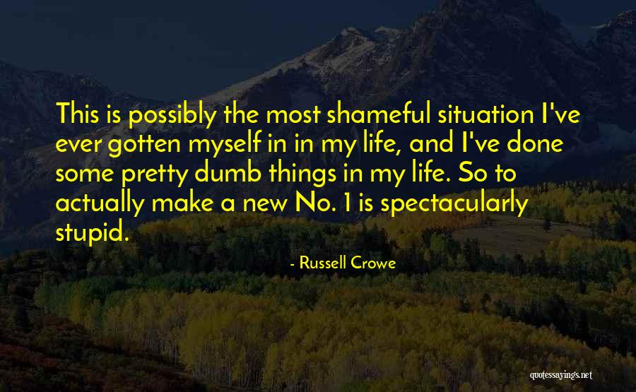 Make The Most Of Your Situation Quotes By Russell Crowe