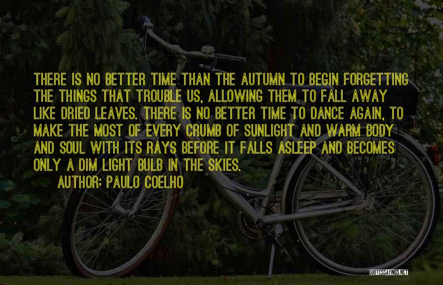 Make The Most Quotes By Paulo Coelho
